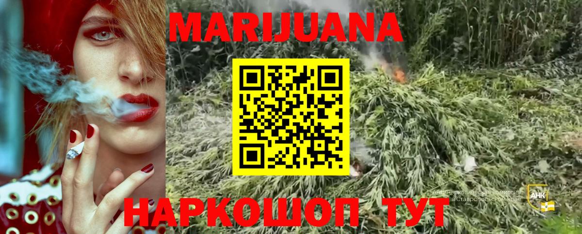 Каннабис Amnesia  Бошки Шишки семена  Южноуральск  Вход с VPN  Каннабис Bruce Banner  Бошки марихуана план 